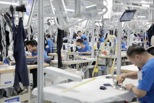 代码织就新衣 阿里犀牛智造如何用技术力重塑服装制造